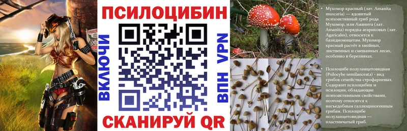 что такое наркотик  Краснообск  Псилоцибиновые грибы Cubensis 